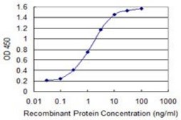 Monoclonal Anti-GLS, (C-terminal) antibody produced in mouse clone 6H1, purified immunoglobulin, buffered aqueous solution