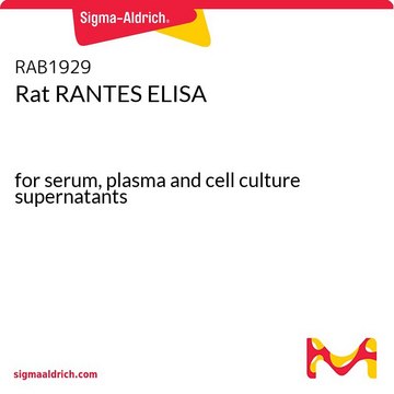 Rat RANTES ELISA for serum, plasma and cell culture supernatants