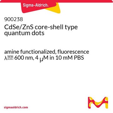 CdSe/ZnS core-shell type quantum dots amine functionalized, fluorescence &#955;em&#160;600&#160;nm, 4 &#956;M in 10 mM PBS