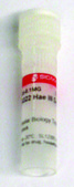 pBR322 Hae III Digest for DNA electrophoresis