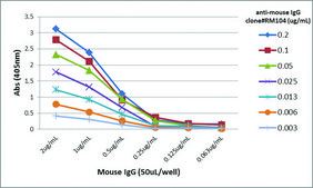 Anti-Mouse IgG antibody, Rabbit monoclonal recombinant, expressed in HEK 293 cells, clone RM104, purified immunoglobulin