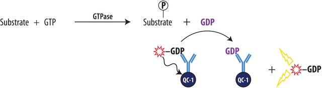 Transcreener&#174; GDP FI Assay