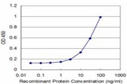 Monoclonal Anti-MYL3 antibody produced in mouse clone 4C2, purified immunoglobulin, buffered aqueous solution