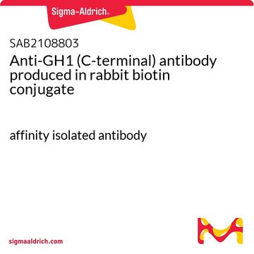 Anti-GH1 (C-terminal) antibody produced in rabbit biotin conjugate affinity isolated antibody