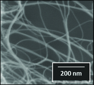 Carbon nanotube, few-walled carbon &#8805;95&#160;%