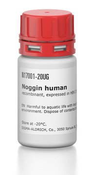 Noggin human recombinant, expressed in HEK 293 cells, suitable for cell culture