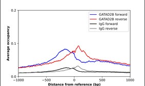 Anti-GATAD2B antibody produced in rabbit Prestige Antibodies&#174; Powered by Atlas Antibodies, affinity isolated antibody, buffered aqueous glycerol solution
