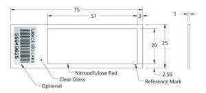 Grace Bio-Labs ONCYTE&#174; AVID&#8482; nitrocellulose film slides 1 (Pads), L × W 51&#160;mm × 20&#160;mm