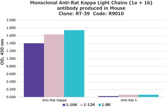 Monoclonal Anti-Rat Kappa Light Chains (1a + 1b) antibody produced in mouse clone RT-39, ascites fluid