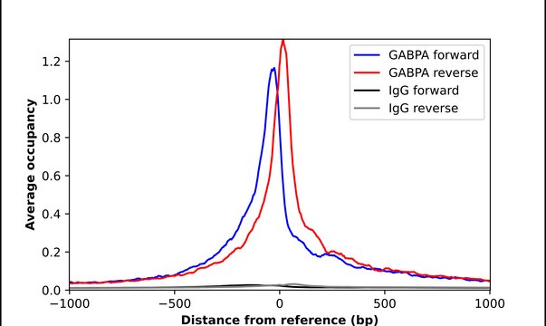 Anti-GABPA antibody produced in rabbit Prestige Antibodies&#174; Powered by Atlas Antibodies, affinity isolated antibody, buffered aqueous glycerol solution