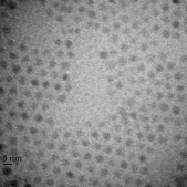 Iron oxide(II,III), magnetic nanoparticles solution 5&#160;nm avg. part. size (TEM), amine functionalized, 1&#160;mg/mL Fe in H2O, dispersion