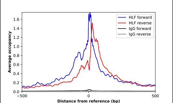 Anti-HLF antibody produced in rabbit Prestige Antibodies&#174; Powered by Atlas Antibodies, affinity isolated antibody