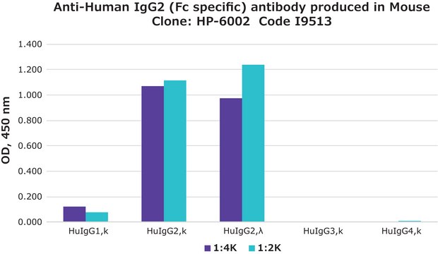 Monoclonal Anti-Human IgG2 (Fc specific) antibody produced in mouse clone HP-6002, ascites fluid