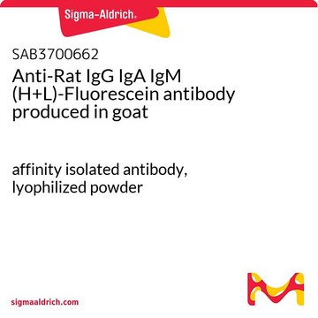 Anti-Rat IgG IgA IgM (H+L)-Fluorescein antibody produced in goat affinity isolated antibody, lyophilized powder