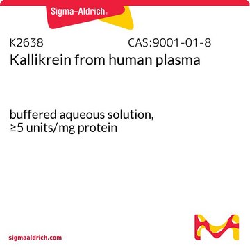 Kallikrein from human plasma buffered aqueous solution, &#8805;5&#160;units/mg protein