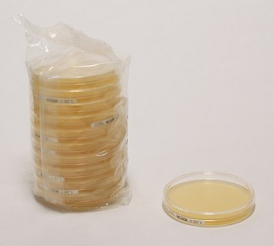 Sabouraud Dextrose Agar ReadyPlate&#8482;, ISO, FDA-BAM, EP, USP, plate diam. 90&#160;mm, box of 20 or 120 plates