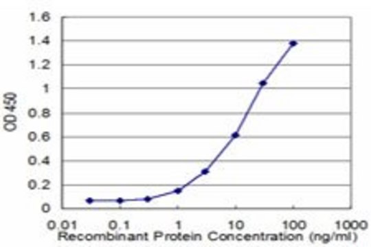 Monoclonal Anti-PCK1 antibody produced in mouse clone 3B12, purified immunoglobulin, buffered aqueous solution