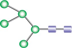 MAN-5 Glycan &#8805;90% (HPLC)