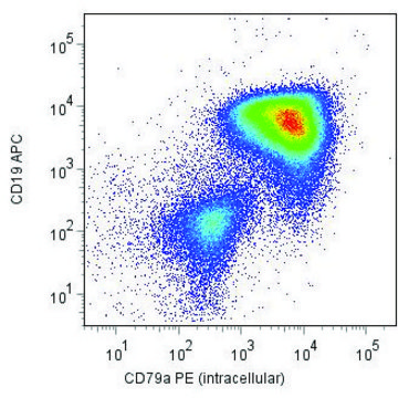 Monoclonal Anti-CD79A-PE antibody produced in mouse clone HM57, purified immunoglobulin, buffered aqueous solution