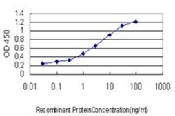 Monoclonal Anti-YWHAH antibody produced in mouse clone 6A12, purified immunoglobulin, buffered aqueous solution