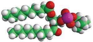 10:0 PC 1,2-didecanoyl-sn-glycero-3-phosphocholine, chloroform