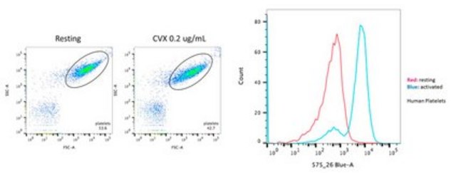 Anti-Platelet Antibody, clone PAC-1 clone PAC-1, from mouse