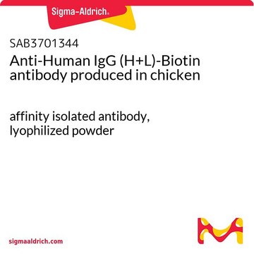 Anti-Human IgG (H+L)-Biotin antibody produced in chicken affinity isolated antibody, lyophilized powder