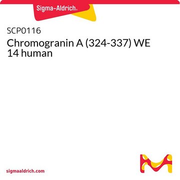 Chromogranin A (324-337) WE 14 human