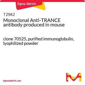 Monoclonal Anti-TRANCE antibody produced in mouse clone 70525, purified immunoglobulin, lyophilized powder