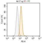 Anti-IL-12A Antibody, clone 1G10 ZooMAb&#174; Rabbit Monoclonal recombinant, expressed in HEK 293 cells