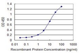 Monoclonal Anti-GNL3 antibody produced in mouse clone 3A3, purified immunoglobulin, buffered aqueous solution