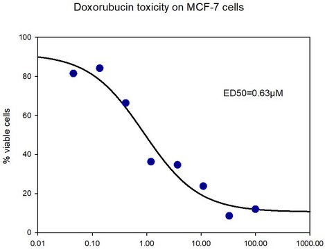 Doxorubicin Ready-Made 2mg/ml, Suitable for cell culture