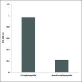Anti-phospho-FAK (pTyr397) antibody produced in rabbit affinity isolated antibody