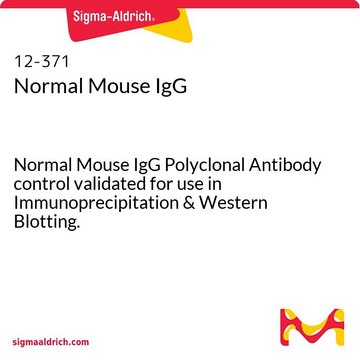 Normal Mouse IgG Normal Mouse IgG Polyclonal Antibody control validated for use in Immunoprecipitation &amp; Western Blotting.