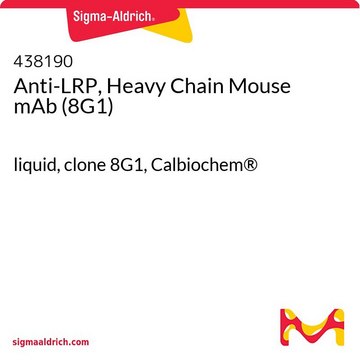 Anti-LRP, Heavy Chain Mouse mAb (8G1) liquid, clone 8G1, Calbiochem&#174;