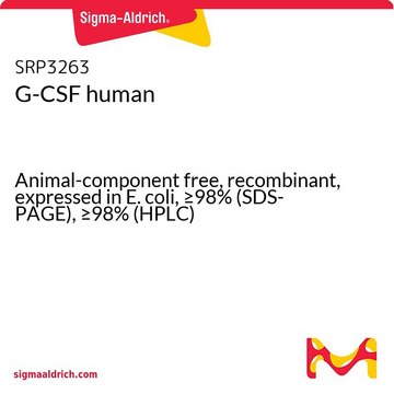 G-CSF human Animal-component free, recombinant, expressed in E. coli, &#8805;98% (SDS-PAGE), &#8805;98% (HPLC)