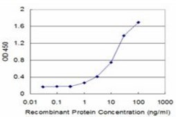 Monoclonal Anti-ACVR2B antibody produced in mouse clone 1C11, purified immunoglobulin, buffered aqueous solution