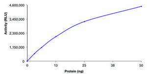 HDAC1, active, GST tagged human recombinant, expressed in baculovirus infected Sf9 cells, &#8805;70% (SDS-PAGE), buffered aqueous glycerol solution