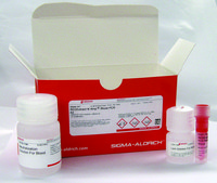 REDExtract-N-Amp&#8482; Blood PCR Kit sufficient for 100&#160;extractions, sufficient for 100&#160;amplifications