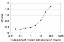 Monoclonal Anti-GIF, (C-terminal) antibody produced in mouse clone 1D9, purified immunoglobulin, buffered aqueous solution