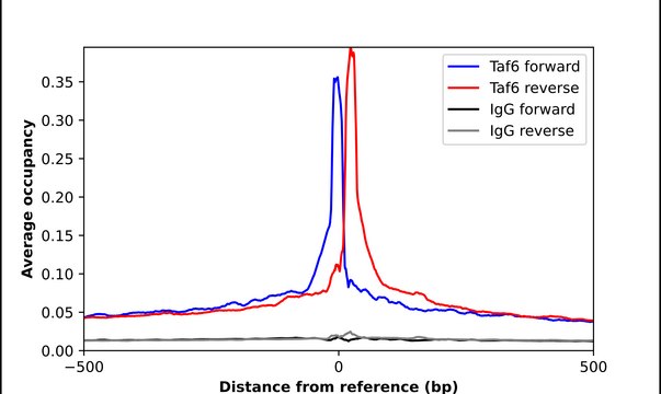 Anti-TAF6 antibody produced in rabbit Prestige Antibodies&#174; Powered by Atlas Antibodies, affinity isolated antibody, buffered aqueous glycerol solution