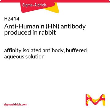 Anti-Humanin (HN) antibody produced in rabbit affinity isolated antibody, buffered aqueous solution