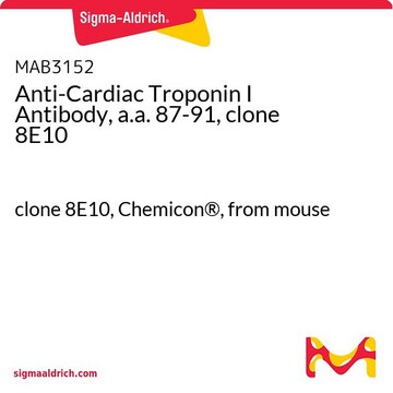 Anti-Cardiac Troponin I Antibody, a.a. 87-91, clone 8E10 clone 8E10, Chemicon&#174;, from mouse