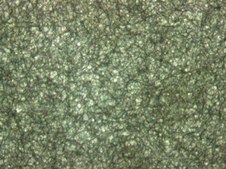 Cellulose Absorbent Sample Pads thickness 0.83&#160;mm, filter W × L 20&#160;mm × 300&#160;mm, pack of 100&#160;strips