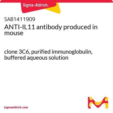 ANTI-IL11 antibody produced in mouse clone 3C6, purified immunoglobulin, buffered aqueous solution