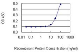 Monoclonal Anti-KRT6B antibody produced in mouse clone 4G9, purified immunoglobulin, buffered aqueous solution