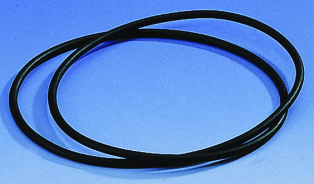 BRAND&#174; dessicator sealing ring for nominal size 150 mm