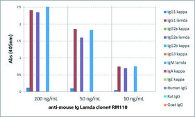 Anti-Mouse Ig Lamda Light Chain-Biotin antibody, Rabbit monoclonal recombinant, expressed in HEK 293 cells, clone RM110, purified immunoglobulin