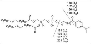 DMABA-d0 NHS Ester Avanti Research&#8482; - A Croda Brand