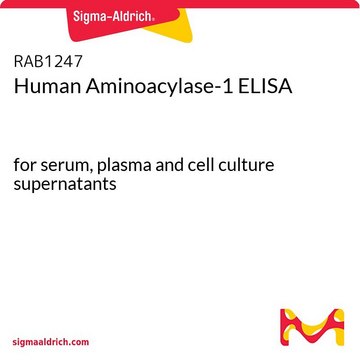 Human Aminoacylase-1 ELISA for serum, plasma and cell culture supernatants
